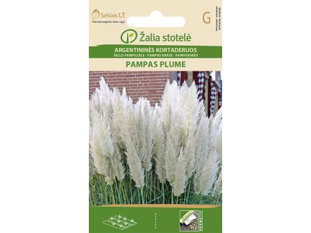 Пампаска трева бяла /PAMPAS GRASS PAMPAS PLUME WHITE / 250 см SK - 0,2 г