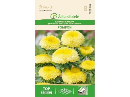 Астра помпон жълта / ASTER CHINA, POMPON YELLOW / SK - 0,5 г