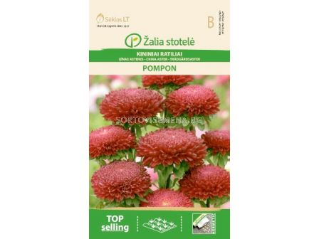 Астра помпон червена/ASTER CHINA, POMPON RED/KIRSCH/ SK-0,5 г