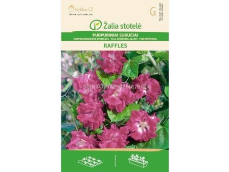 Ипомея кичеста бордо / MORNING-GLORY, RAFFLES BORDO/ SK - 0,5 г - sortovisemena.bg Ипомея кичеста бордо / MORNING-GLORY, RAFFLES BORDO/ SK - 0,5 г