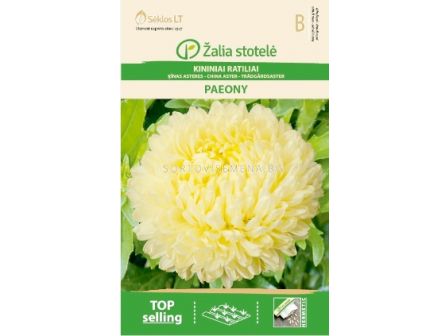 Астра божур жълта /ASTER CHINA, PAEONY  YELLOW/ SK - 0,5 г - sortovisemena.bg Астра божур жълта /ASTER CHINA, PAEONY  YELLOW/ SK - 0,5 г