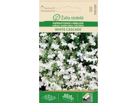 Лобелия Бяла каскада / LOBELIA, WHITE CASCADE / SK - 0,1 г