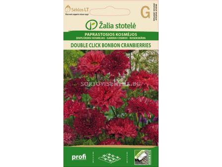 Космос кичест тъмно-лилав  - sortovisemena.bg Космос кичест тъмно-лилав