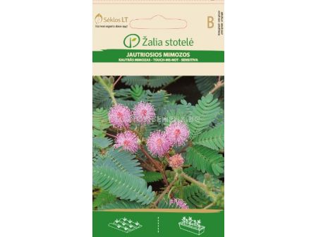 Срамежлива Мимоза розова / MIMOSA, SENSITIVE PLANT ROSE / SK - 0,3 г