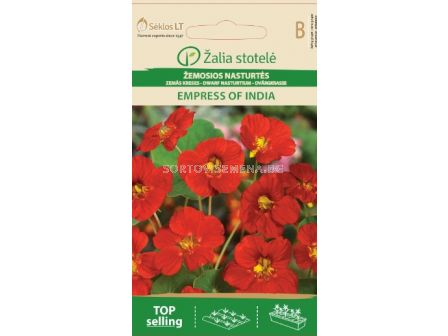 Латинка Импресии от Индия