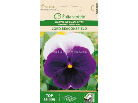 Семена Теменужка бяло-лилава  / PANSY LORD BEACONSFIELD  / 'SK -1 оп - sortovisemena.bg Семена Теменужка бяло-лилава  / PANSY LORD BEACONSFIELD  / 'SK -1 оп