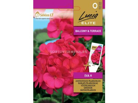 Семена мушкато /EVA H/ 'SK-1 оп 7 гр