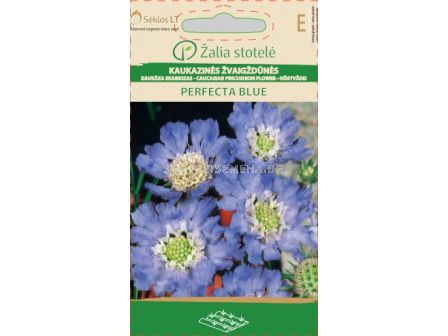 Семена Скабиоза / PINCUSHION FLOWER CAUCASIAN  / 'SK -1 оп