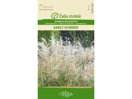 семена Мискантус (Miscanthus sinensis) 'SK -1 оп