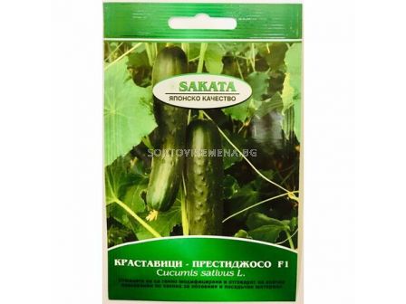 Семена краставици Престиджосо - 30 семена