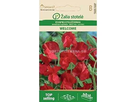 Семена Декоративен грах / SWEET PEA WELCOME/ 'SK -1 оп