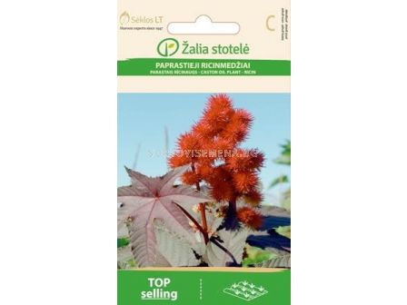 Семена Рицин / CASTOR OIL PLANT / 'SK -1 оп