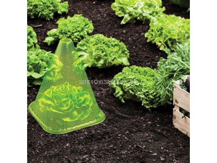 Конуси за разсади и млади растения 10 бр - 2