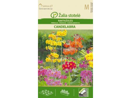 Семена Иглика / PRIMROSE CANDELABRA / 'SK -1 оп