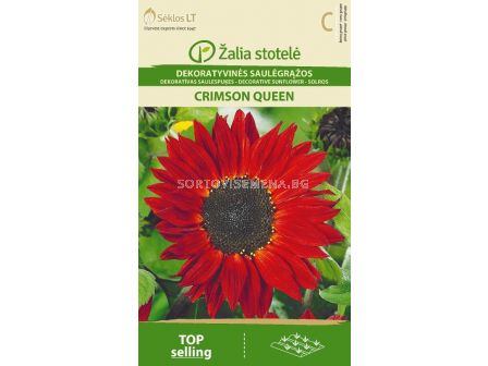 Семена Декоративен слънчоглед / SUNFLOWER CRIMSON QUEEN / 'SK -1 оп