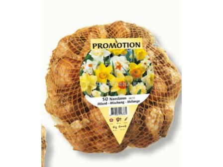 Нарцис микс Специална селекция  /Mixed Daffodils/ 1 оп-50 бр