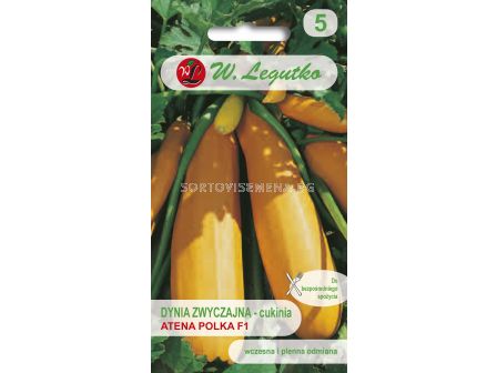 Семена Тиквички жълта изобилна Атена Полка F1 / Squash (zucchini) Atena Polka F1 /LG 1 оп 