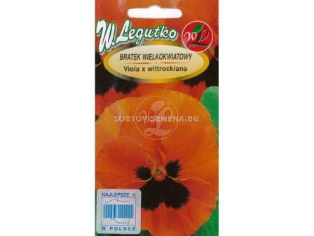 Семена Теменужки /Viola x wittrockiana Orange mit Auge /LG-1 оп