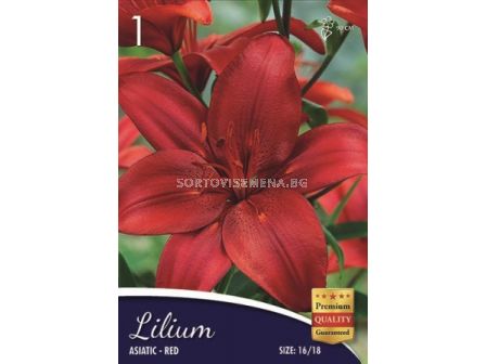 Лилиум (Lilium) Asiatic Red 16/18