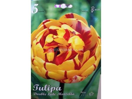 Лале (Tulip) Double Late Monsella 11/12