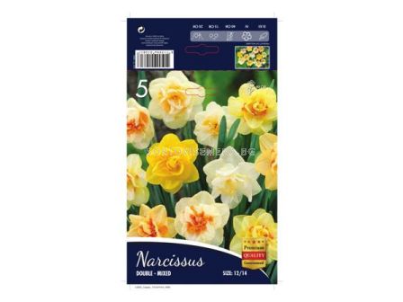 Нарцис (Narcissus) Double Mixed 12/14