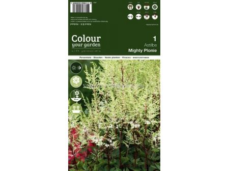 Астилбе Mighty Plonie - 1 оп (1 коренище) - 1