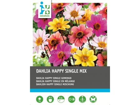 Далия happy single gemengd / 1 оп- 5 корен