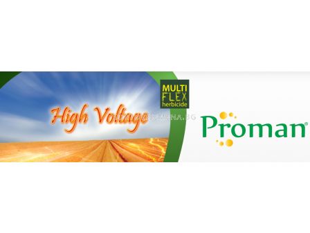 Проман-1л - sortovisemena.bg Проман-1л