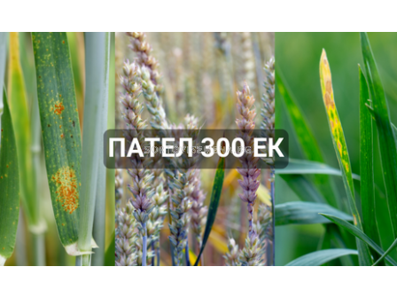 Пател 300 ЕК - 5 л