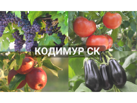 Кодимур СК