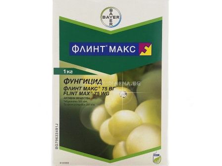 Флинт макс ВГ