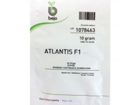 Семена корнишони Атлантис F1 - Аtlantis F1 - 250 семена - 2