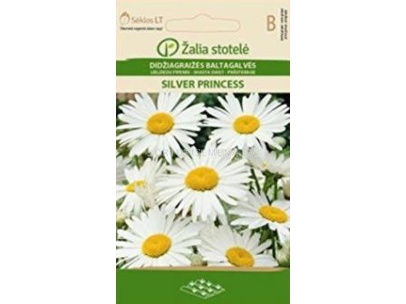 Семена Маргаритки / SHASTA DAISY SILVER PRINCESS / 'SK -1 оп - sortovisemena.bg Семена Маргаритки / SHASTA DAISY SILVER PRINCESS / 'SK -1 оп
