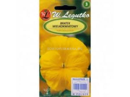 Семена Теменужка / Viola x wittrockiana Goldgelb yellow / 'LG -1 оп - sortovisemena.bg Семена Теменужка / Viola x wittrockiana Goldgelb yellow / 'LG -1 оп