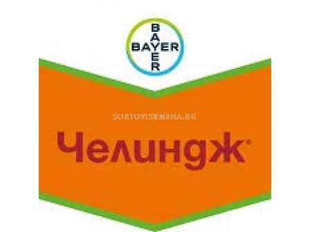 Челиндж 600 СК - 5 л