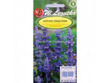 Семена Салвия / Salvia farinacea blue / LG -1 оп