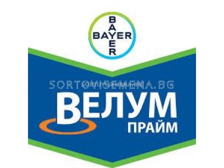 Велум прайм 