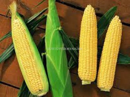 Семена Сладка царевица SENTINEL F1-5000 сем