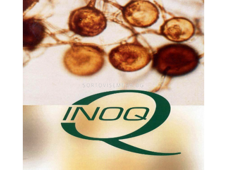 Микориза INOQ A600 - 1