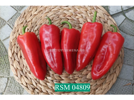 Семена пипер RSM 4809 F1 /TSWV, Xc/ - 500 семена