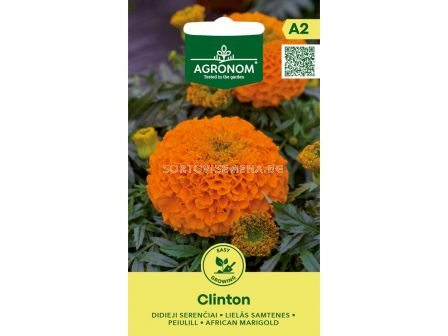 СК СЕМЕНА ТАГЕТЕС КЛИНТЪН MARIGOLD, CLINTON  - 1