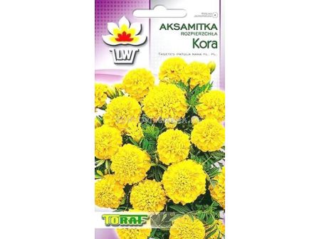 Семена Тагетес Kora жълт /TF-1 гр