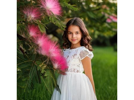 Тораф Комплект в кутия за отглеждане на албиция (Дърво на щастието) - 7