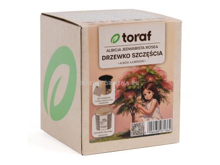Тораф Комплект в кутия за отглеждане на албиция (Дърво на щастието) - 3