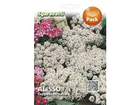 Семена Алисум - бял`SG - Alyssum white`SG 