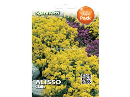 Семена Алисум - жълт `SG 
