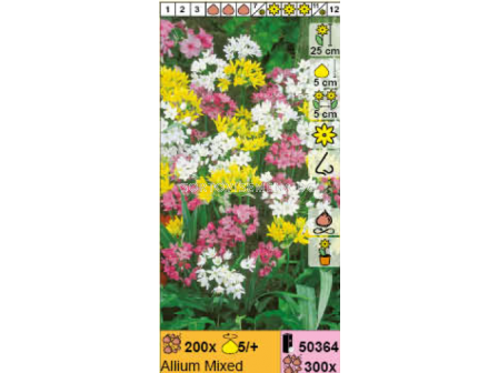 Декоративен лук микс/ Allium Mixed - 1 брой