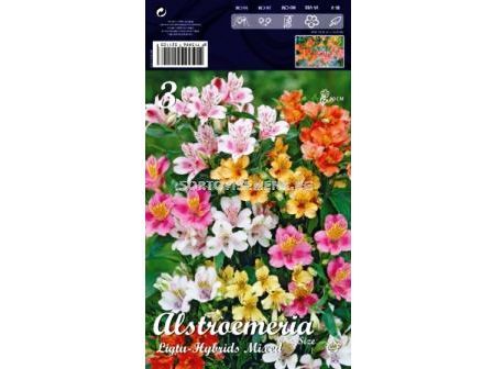 Алстромерия (Alstroemeria) mix