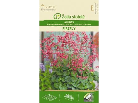 Семена Хойхера / HEUCHERA  FIREFLY / 'SK -1 оп - sortovisemena.bg Семена Хойхера / HEUCHERA  FIREFLY / 'SK -1 оп