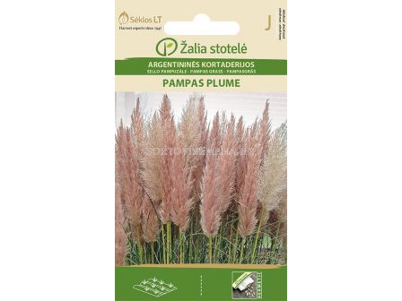 Семена Пампаска трева лилава / GRASS PAMPAS PLUME / 'SK -1 оп